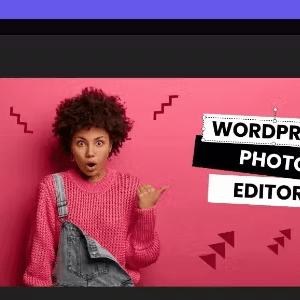 Palleon - WordPress Image Editor 3.8.3