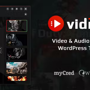 VidMov - Video WordPress Theme 2.3.6