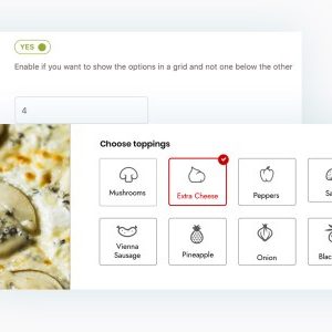 YITH WooCommerce Product Add-Ons  Extra Options